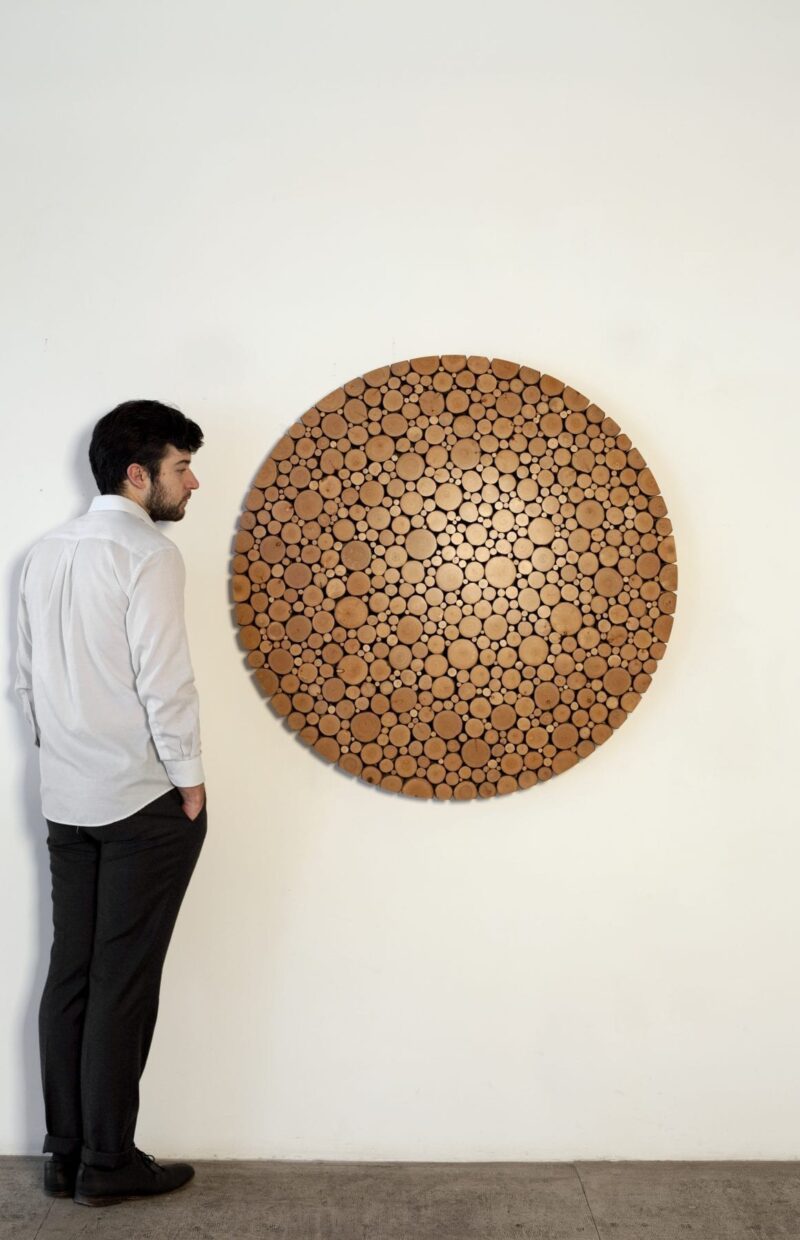 The alder disc mounted on a white wall.