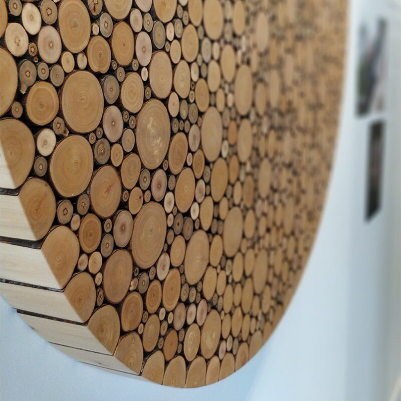 Cropped photo of the Alder disc against a white wall.