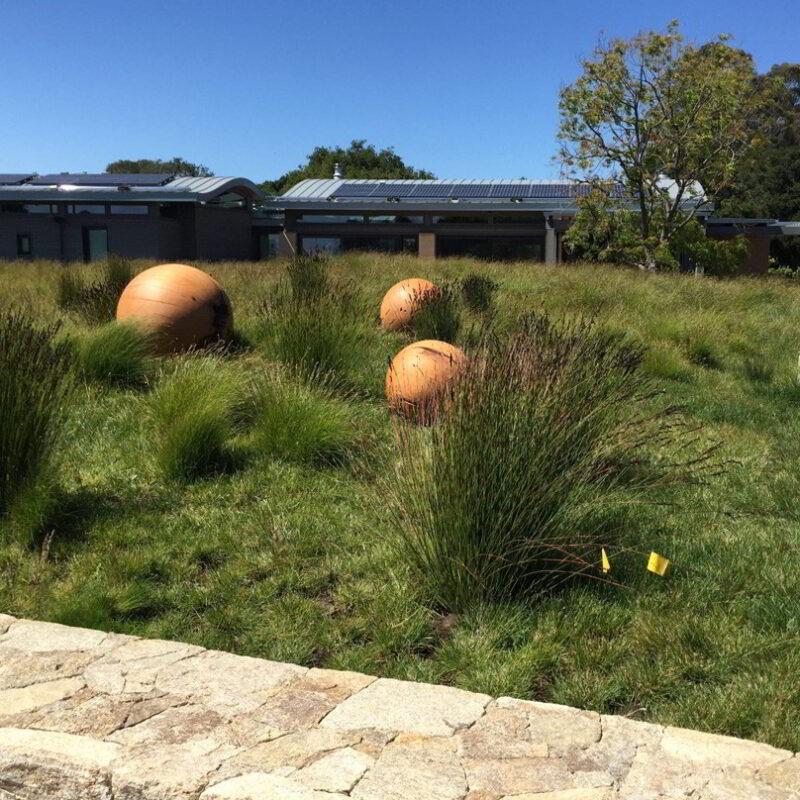 Three solid spheres in a grassy landscape.