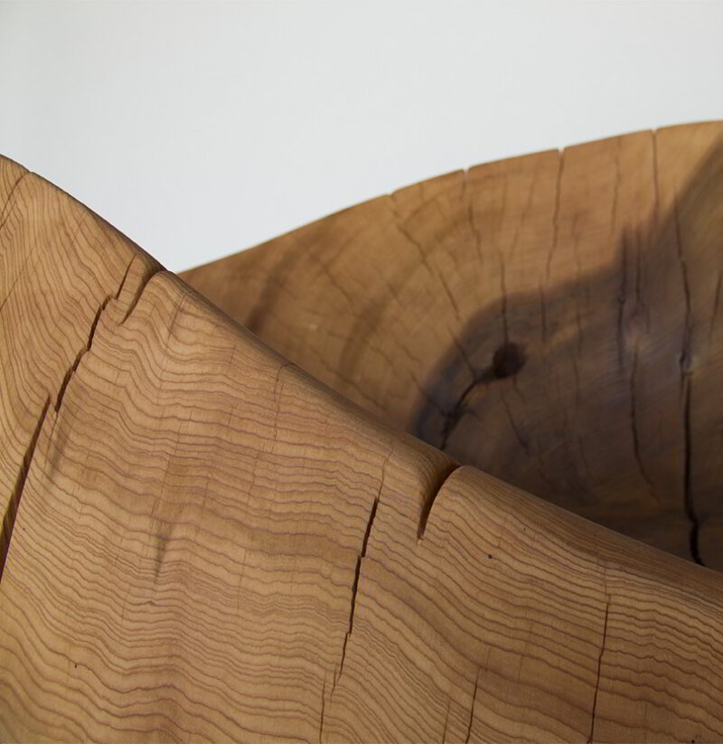 Detailed cropped photo of the nest chair.