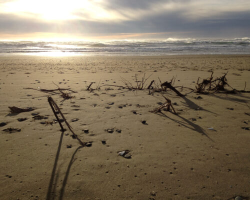 Sticks protrude from the sand.