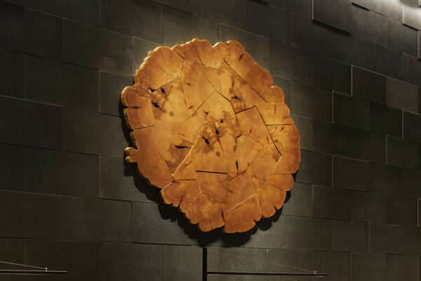A shattered cross cut log piece is displayed on a black brick wall.