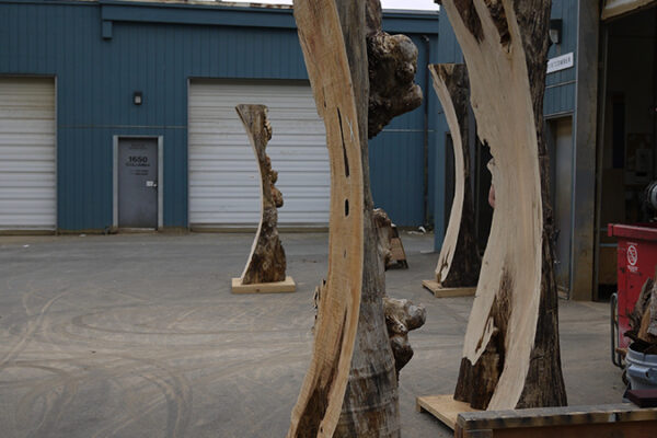 Sentinels pictured at the shop.
