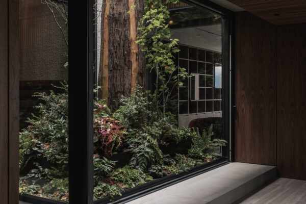 An indoor open-air glass atrium with indigenous plantings and a vertical western red cedar log