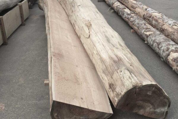 Bisected cedar log