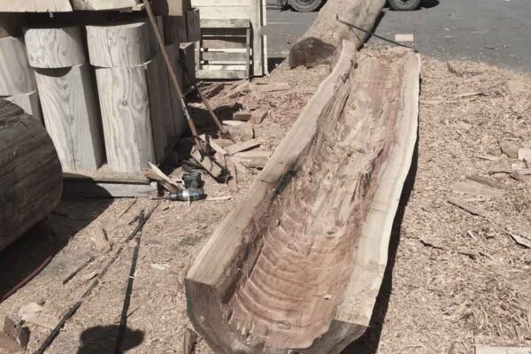 Hollowed cedar log